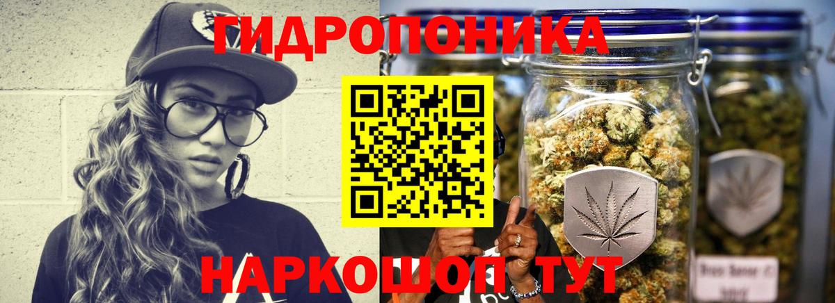 Бошки марихуана семена  Канабис White Widow  Вход с VPN  Кулебаки  Каннабис семена  Бошки марихуана индика 